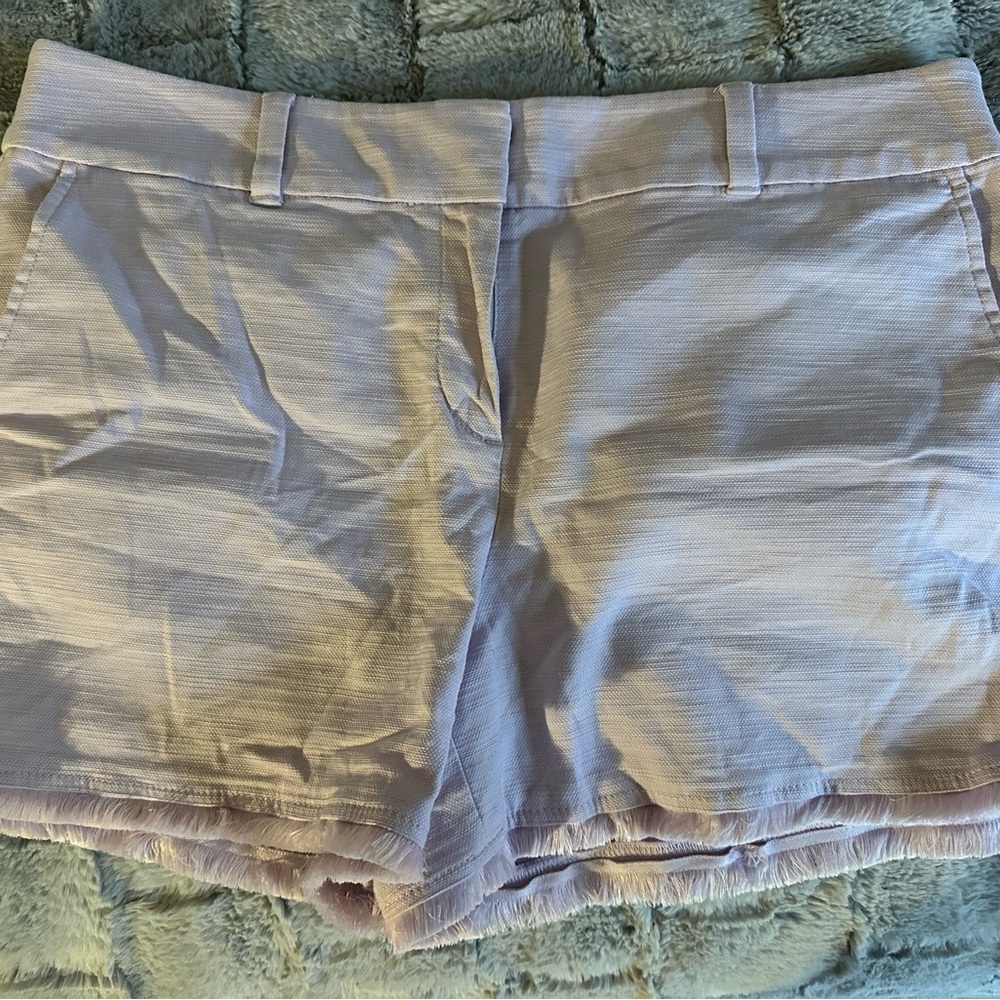 Loft Light Purple Shorts size 10